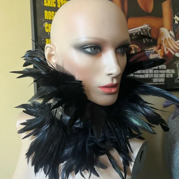 Feather Collar - Picture 1 of 2